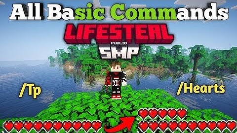 All Basic & Secret Commands | Apple Mc Lifesteal Server | #applemc #lifestealsmp #server #minecraft