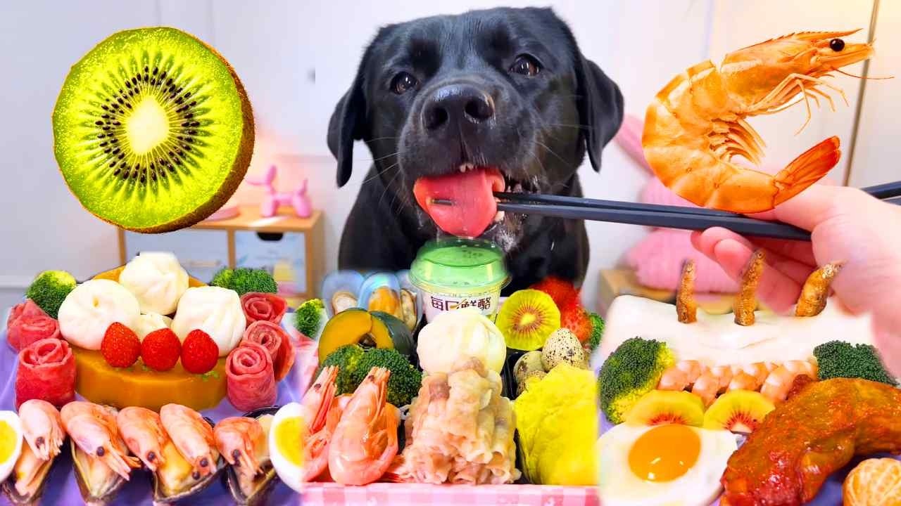 INSANE SATISFYING CHEWING! Labrador Gobbles Beef, Seafood,Egg Buns ...