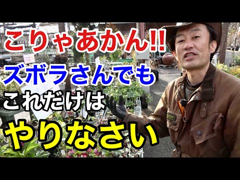 三月の庭仕事完全ガイド:失敗しないコツとチェックリスト