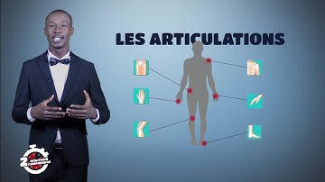2mn pour comprendre LES ARTICULATIONS avec Polus Agathon