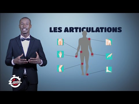 Vidéo: Articulation Radiocarpienne: Type, Fonction, Anatomie, Diagramme Et Causes De La Douleur