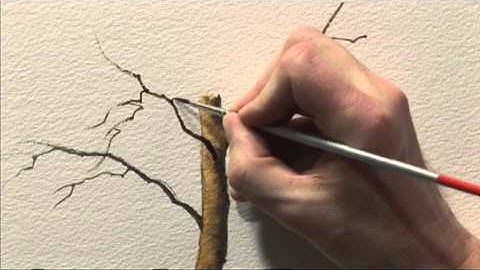 Trees, Woodlands & Forests in Watercolour One - Part Two