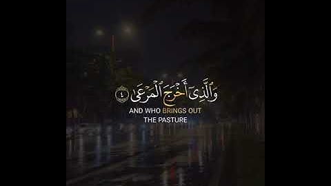 قران الكريم | سورة الأعلى بصوت عبدالرحمن مسعد - حالات واتس قرانية