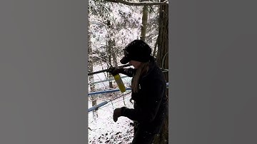 Plumbing in Maple Syrup Main Lines