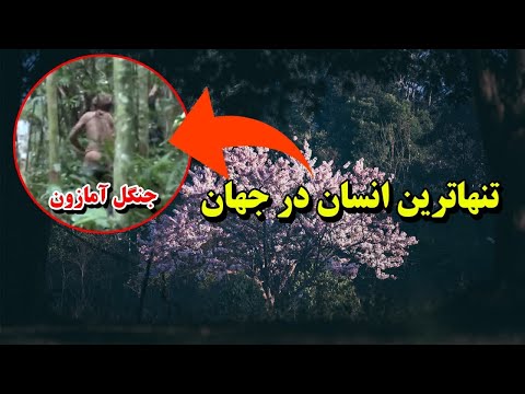 تصویری: چه کسی در جنگل های همیشه سبز زندگی می کند