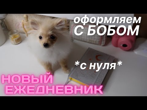 Видео: КАК СДЕЛАТЬ ЕЖЕДНЕВНИК С НУЛЯ | ВОЗОБНОВЛЕНИЕ РУБРИКИ?