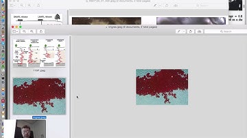 2:1 Multiphase Flow - Definitions, interfacial tension, capillary behavior