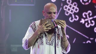 Damian Draghici - Nai Folclor 🥁 LIVE @ Sala Palatului 2023