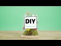 Intratuin - Droogbloemen onder een stolp - DIY