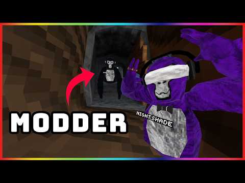 I Hunted Modders in Gorilla Tag..