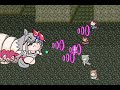 たぬき