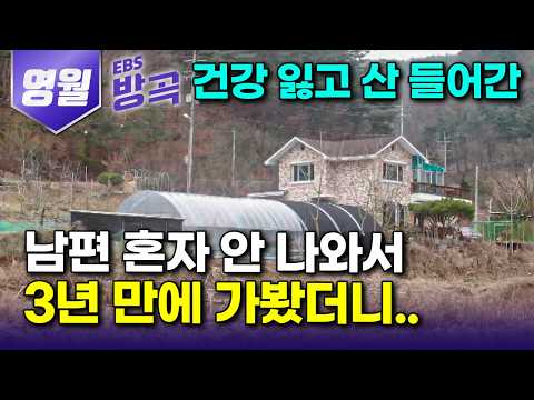 [강원 영월] "몸만 들어와 다 해줄게" 해발 600m 산자락으로 들어간 남편이 온 김에 눌러앉으라고 안 보내준다｜시골 싫다던 아내와 귀촌 11년째｜#한국기행 #방방곡곡