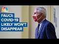 Dr. Anthony Fauci: Coronavirus is so contagious, it likely won't ever disappear