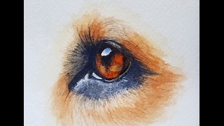 how to paint dog eyes in watercolor