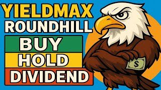 $24,000 Yieldmax Roundhill Dividends = HOOY XDTE HOOW Hooy Dividend Date