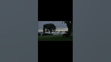 سورة الحج الآية (11) - الشيخ / محمد صديق المنشاوي .