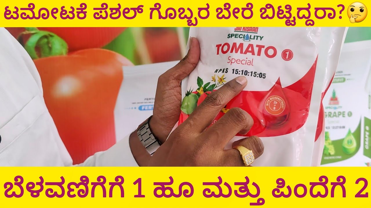 ಎಲ್ಲಾ ಬೆಳೆಗೂ ಅದರ ಅದರ ಗೊಬ್ಬರ ಇದ್ದರೆ ತಲೆನೋವು ಇರಲ್ಲ ಯಾರಾದರೂ ಬಳಕೆ ಮಾಡಿದ್ದಿರ ಈ ಗೊಬ್ಬರ tomato 🍅 fertilizer