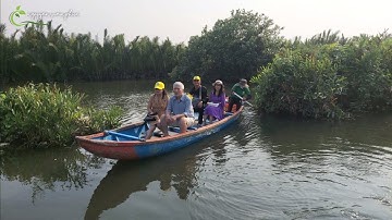 Du lịch sinh thái Rừng Dừa Nước Mỹ Khê - Quảng Ngãi (Rừng dừa nước Tịnh Khê - Quảng Ngãi)