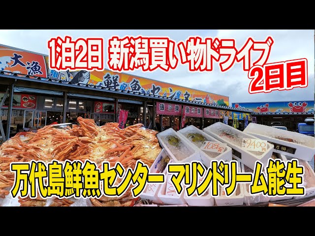 Running in search of Niigata winter flavors] Bandaijima Fresh Fish