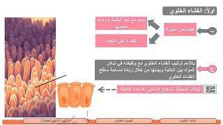 الصف العاشر-الأحياء-التركيب الدقيق للخلية2 -الغشاء الخلوي و الجدار الخلوي والسيتوبلازم الهيكل الخلوي