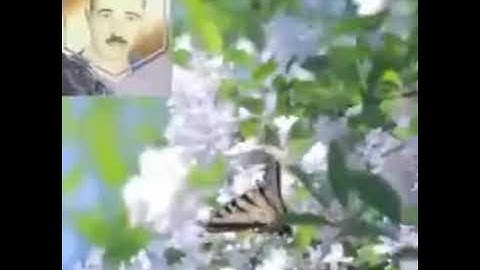 الشيخ حسن عبده فرحان/عباقرة التلاوات القرءانية سورة الحج جميله جدا