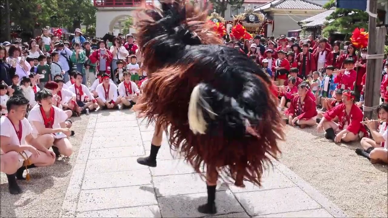 播州高砂荒井神社秋祭り宵宮 扇町獅子舞2023