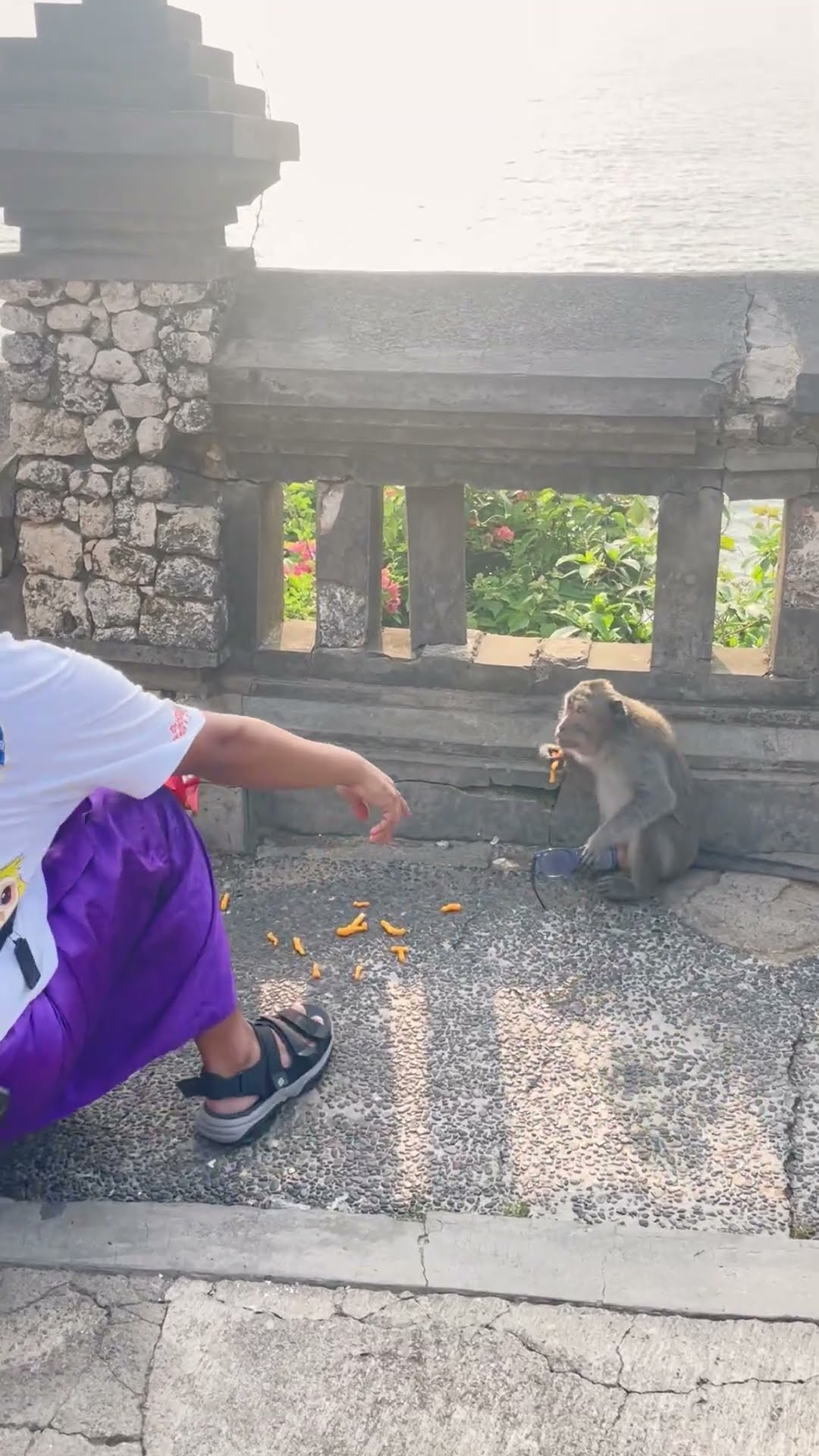 SEDIH BANGET!! ?? KACAMATA AYAH DI AMBIL MONYET WAKTU LIBURAN DI BALI #leika #shorts