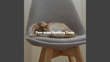 Excellent Backdrops for Open Work Floors