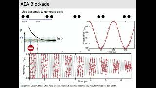 Probing Quantum Many-Body Dynamics with Tweezer Arrays