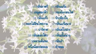 รื่นนาสา สุนทราภรณ์