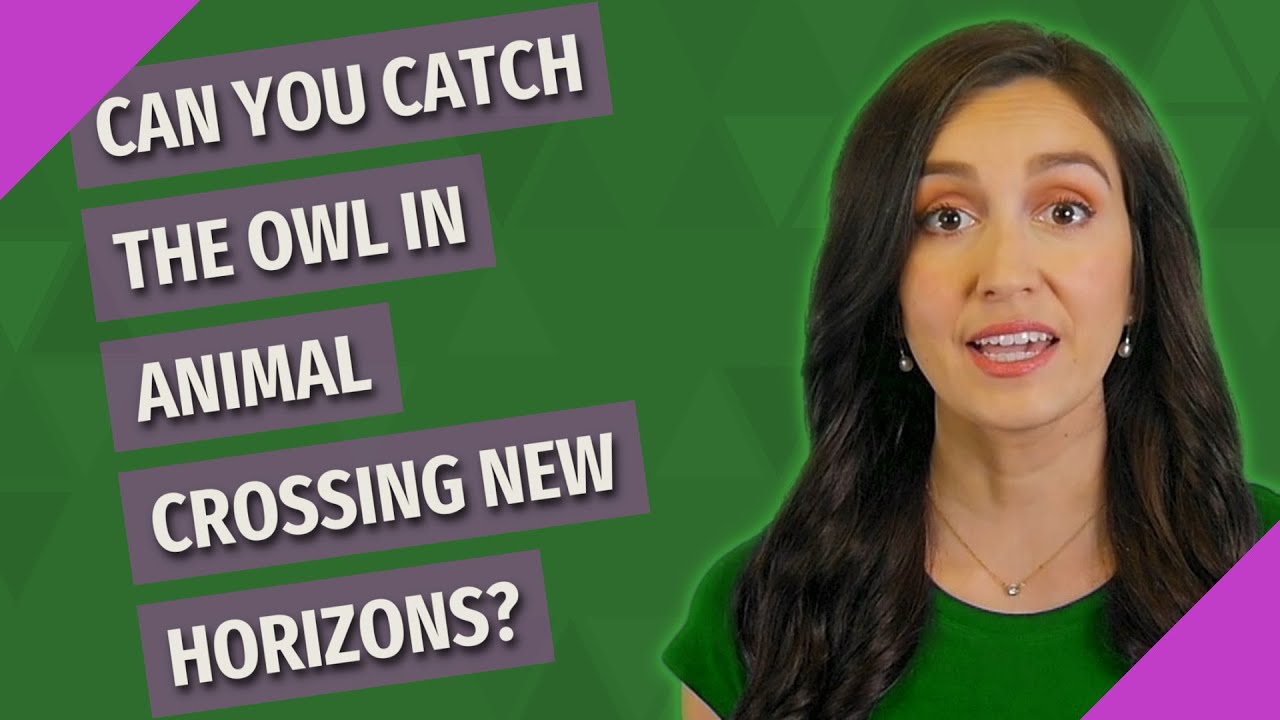 Can you catch the owl in Animal Crossing New Horizons?