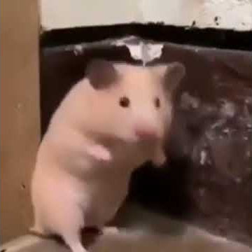 Lagi ngintip cowok mandi dikagetin besti