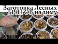 Лучший рецепт Заготовки Лесных Грибов на зиму