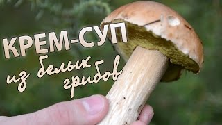 Крем-суп из белых грибов Крем-суп из белых грибов