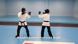 Sparring Combination - Backfist/Reverse Punch - alternate angle