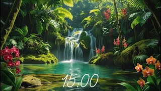 Celebrity 15 Minute Countdown Timer - Tropical Rainforest With Music (Spa / Relaxation & Waterfall) Profile