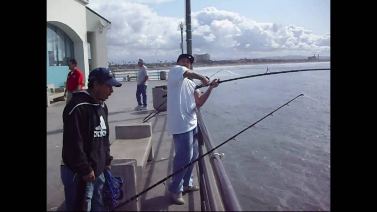 Huntington Beach Pier Fishing You Huntington Beach Pier Fishing You