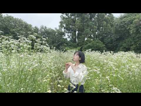 신잔디 - 사람들 숲 (MV)