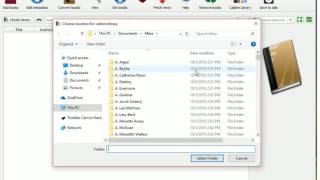 Move an existing Calibre library to a new computer screenshot 4