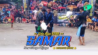Gea Ayu 1289 - Samar ( Jhandut Jaranan New Suryo Wijoyo)