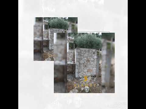 مقاول دبش تدبيش ترع تبطين ترع دبش تكاسي مقاول دبش تدبيش طرق العامري جروب 01097200979 2