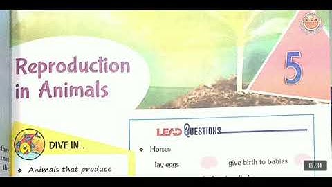 Class 4 || SCIENCE || CHAPTER 5 || Reproduction in Animals