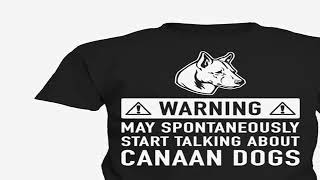 Canaan Dog Funny