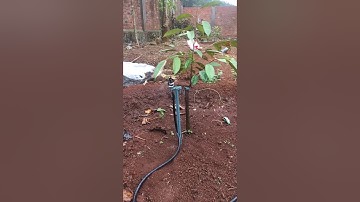 Béc bù áp 95lit và sự khác biệt.206pc -bs super-ba bb