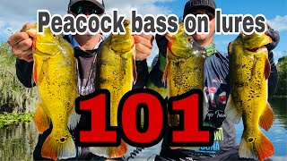 REMAKE How to fish for Peacock bass, Oscar and Bass on lures 101