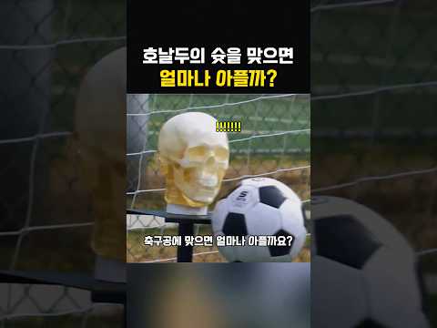 호날두의 슛을 맞으면 얼마나 아플까? thumbnail