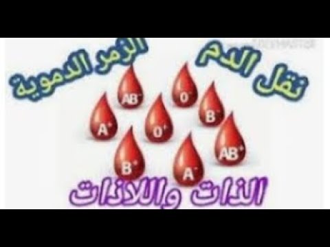 الذات واللاذات علوم طبيعية رابعة متوسط