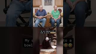 Dr. Pol Reacts - 🐱 Cat Chaos & Brave Pup Saves the Day! 😂 #drpol #funnyanimalsvideo