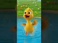 Toddler | toddler rhymes | #rhymes #kidscartoon #duck
