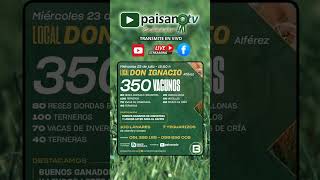 Mañana Remate Local Don Ignacio Alférez 350 - Vacunos Transmite En Vivo Paisanotv